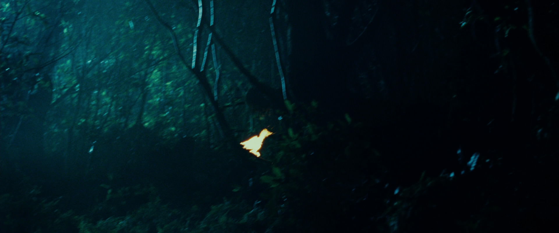 The Lord of the Rings: The Fellowship of the Ring (2001) movie still 9163