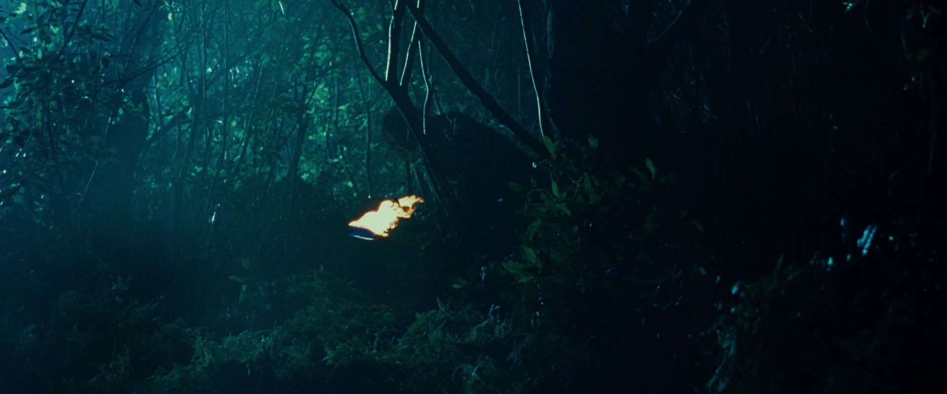 The Lord of the Rings: The Fellowship of the Ring (2001) HD screenshot 9164