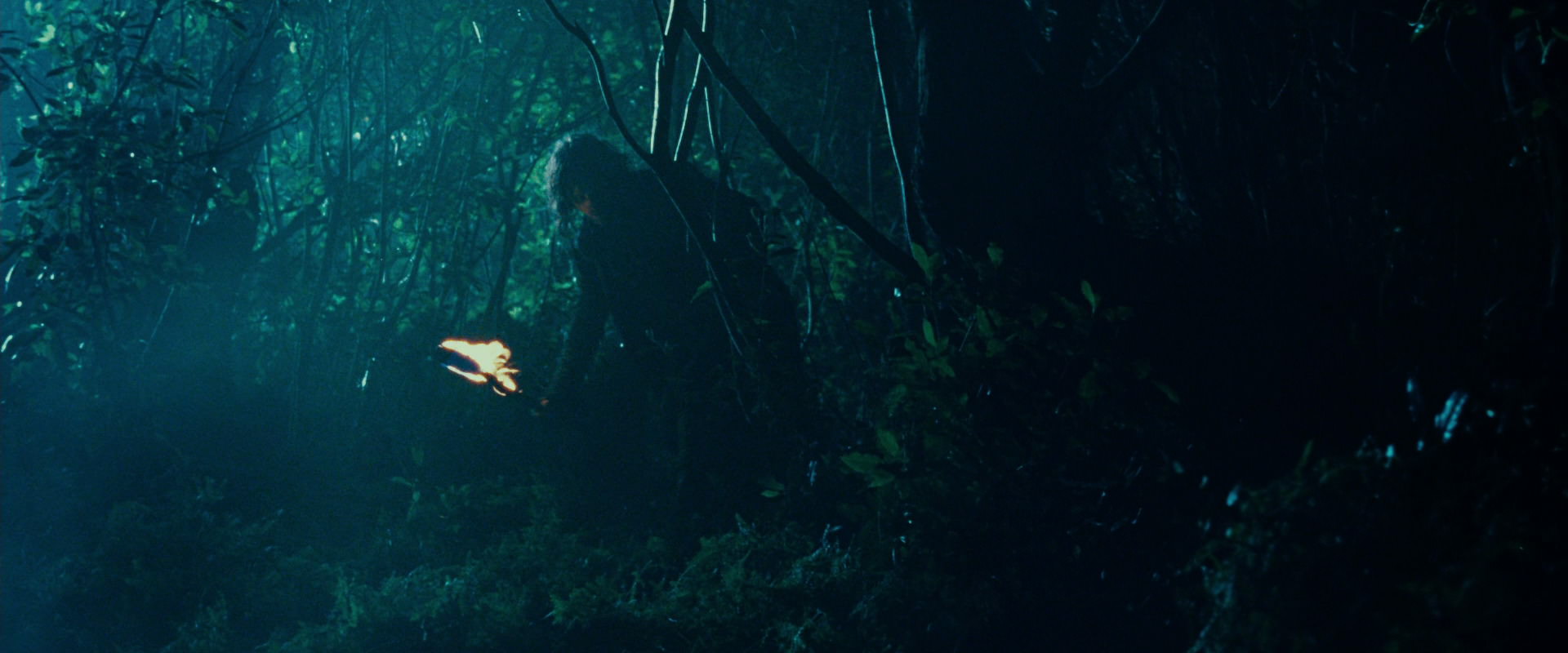 The Lord of the Rings: The Fellowship of the Ring (2001) screencap 9165