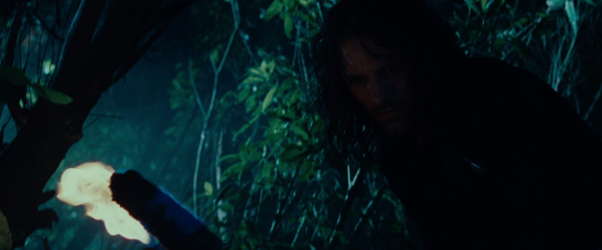 The Lord of the Rings: The Fellowship of the Ring (2001) movie still 9166