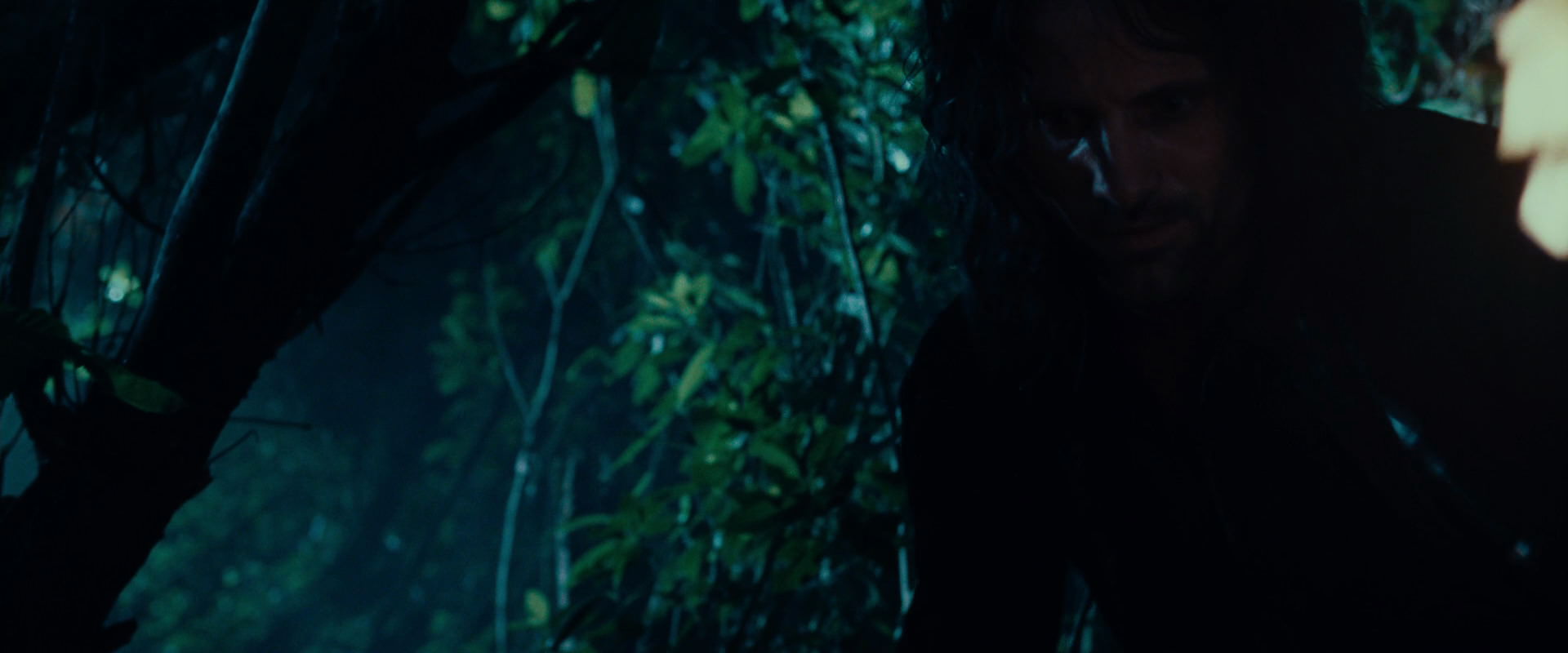 The Lord of the Rings: The Fellowship of the Ring (2001) HD screenshot 9167