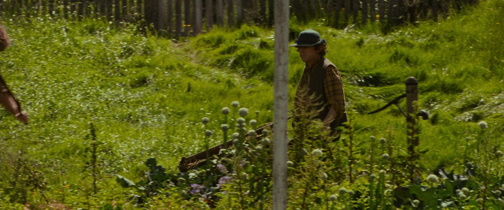 The Lord of the Rings: The Fellowship of the Ring (2001) HD screenshot 917