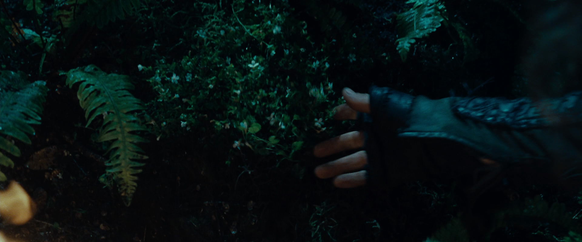 The Lord of the Rings: The Fellowship of the Ring (2001) HD screenshot 9170