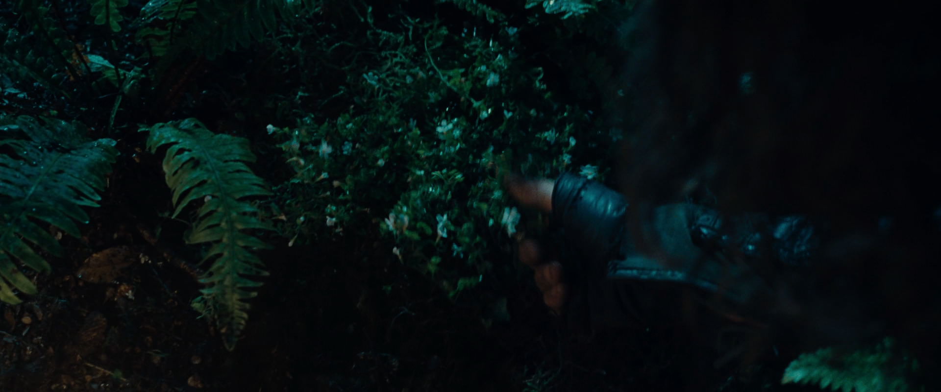 The Lord of the Rings: The Fellowship of the Ring (2001) screencap 9171