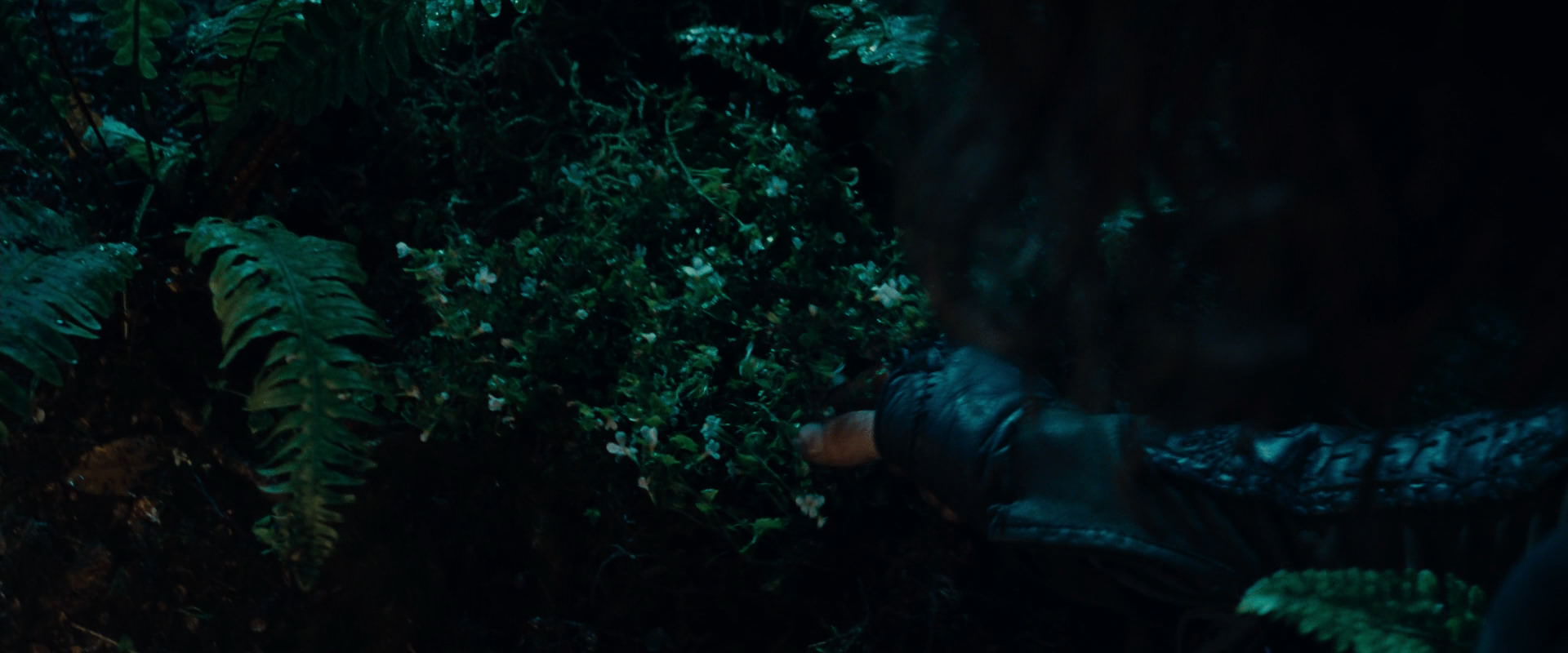 The Lord of the Rings: The Fellowship of the Ring (2001) movie still 9172