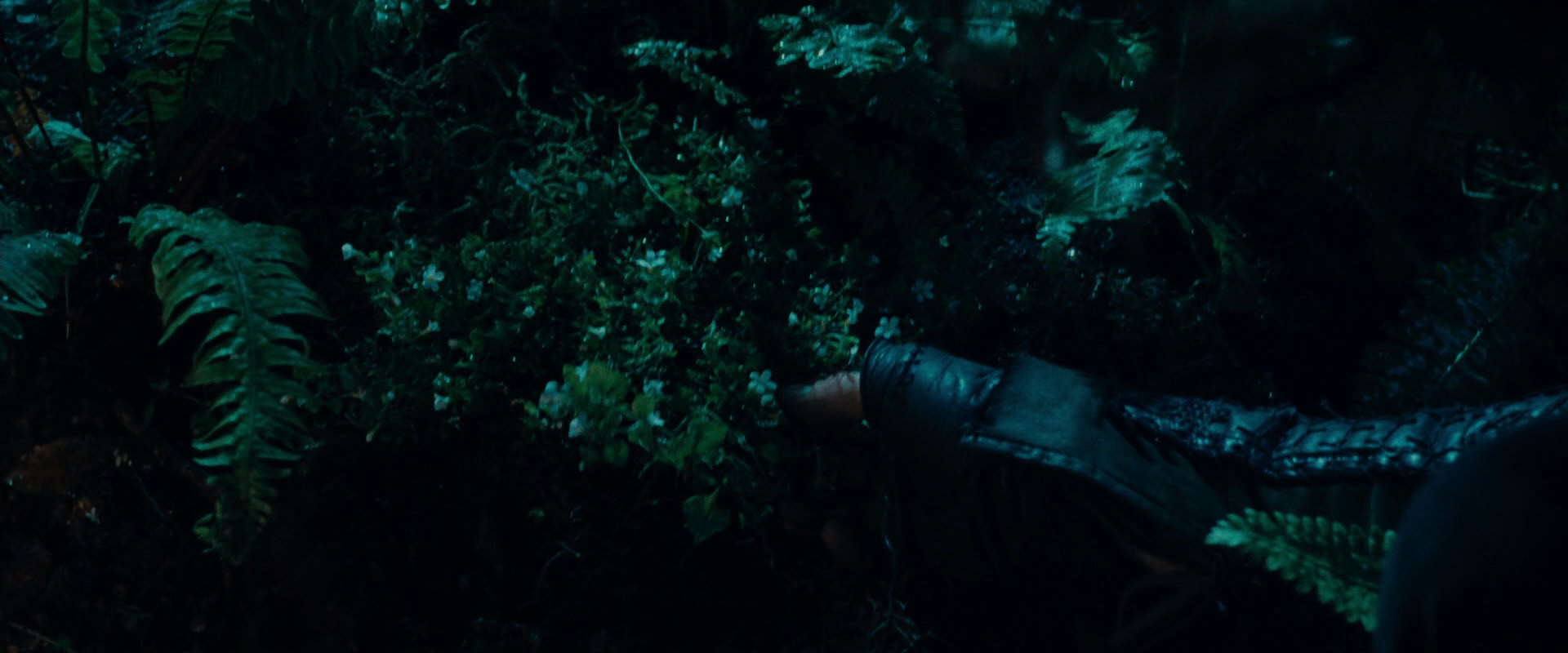 The Lord of the Rings: The Fellowship of the Ring (2001) HD screenshot 9173