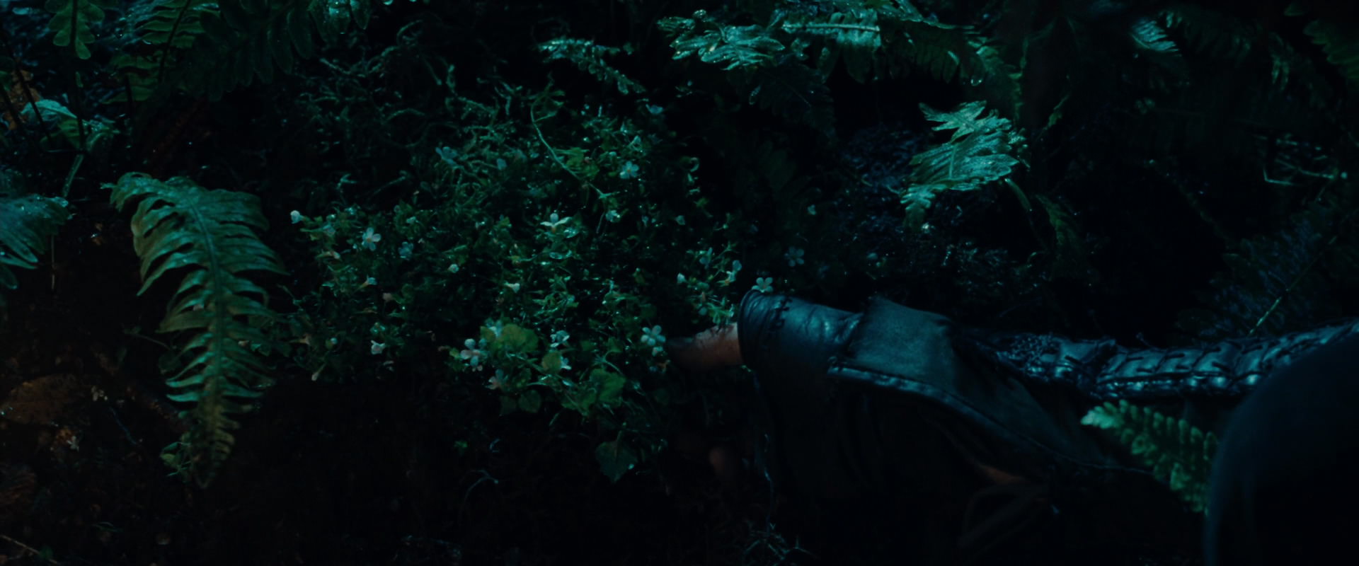 The Lord of the Rings: The Fellowship of the Ring (2001) screencap 9174