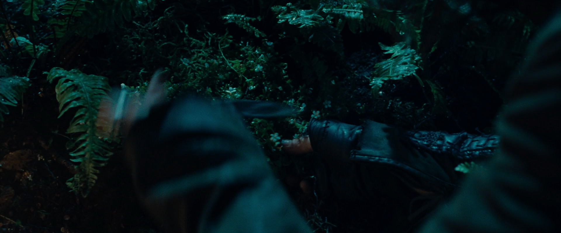 The Lord of the Rings: The Fellowship of the Ring (2001) movie still 9175