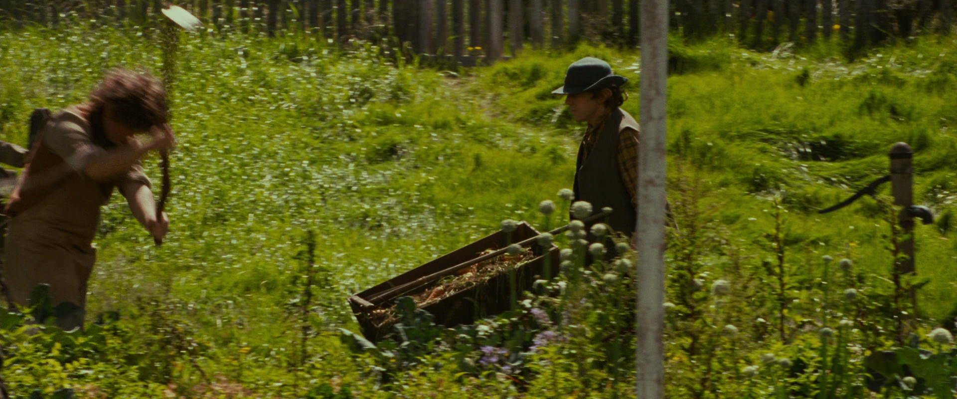 The Lord of the Rings: The Fellowship of the Ring (2001) screencap 918