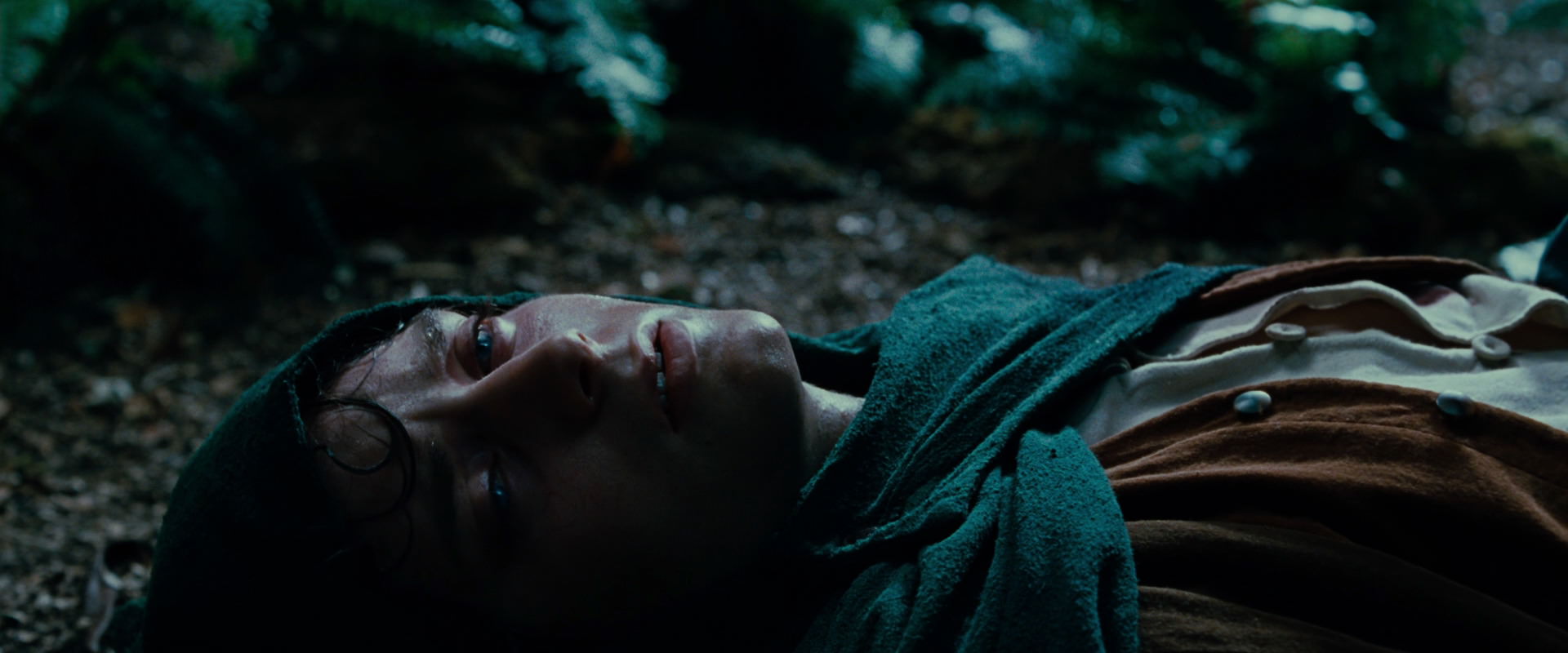 The Lord of the Rings: The Fellowship of the Ring (2001) HD screenshot 9194