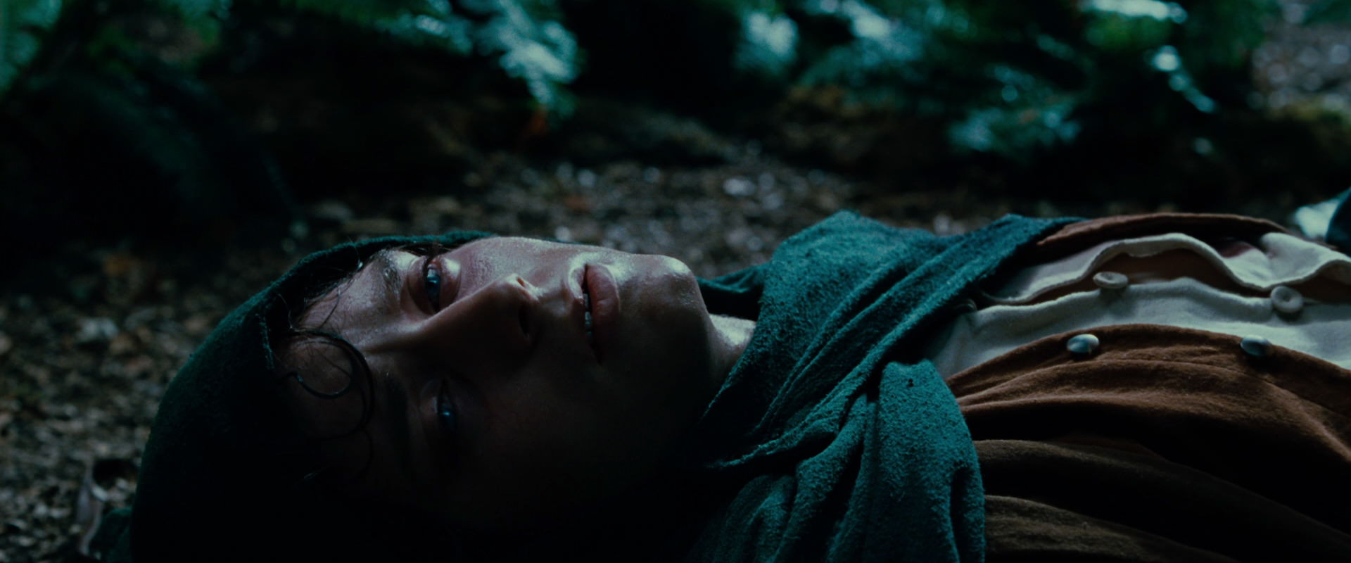 The Lord of the Rings: The Fellowship of the Ring (2001) screencap 9195