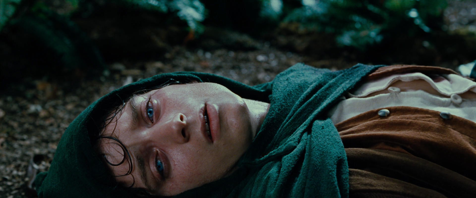 The Lord of the Rings: The Fellowship of the Ring (2001) screencap 9198