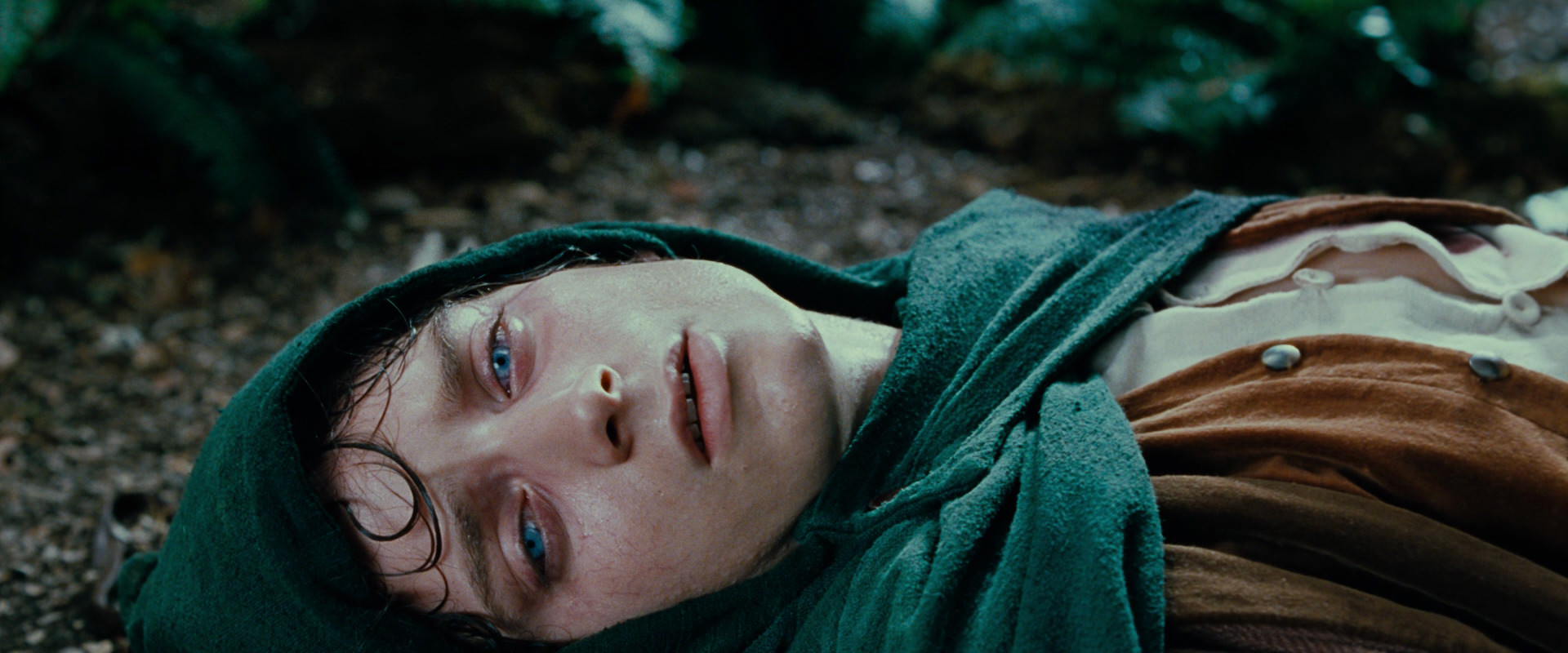 The Lord of the Rings: The Fellowship of the Ring (2001) movie still 9199