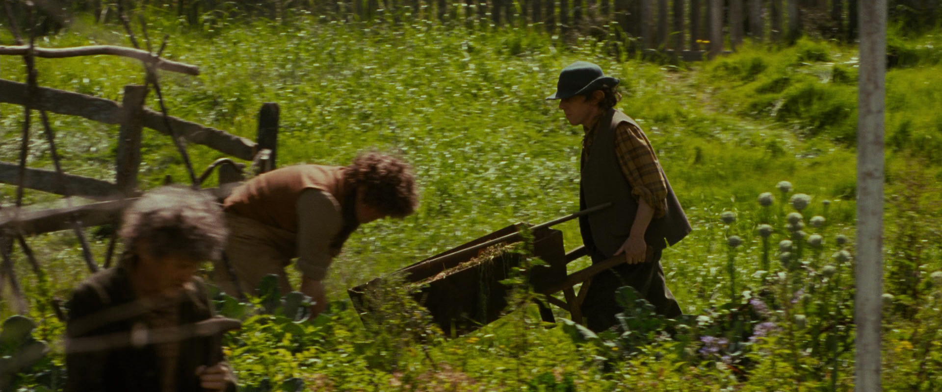 The Lord of the Rings: The Fellowship of the Ring (2001) HD screenshot 920