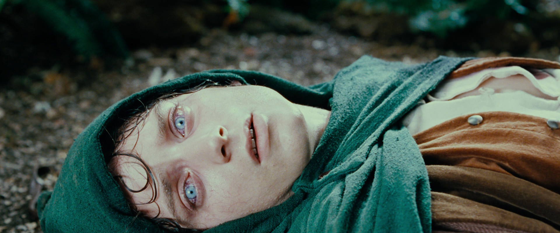 The Lord of the Rings: The Fellowship of the Ring (2001) screencap 9201