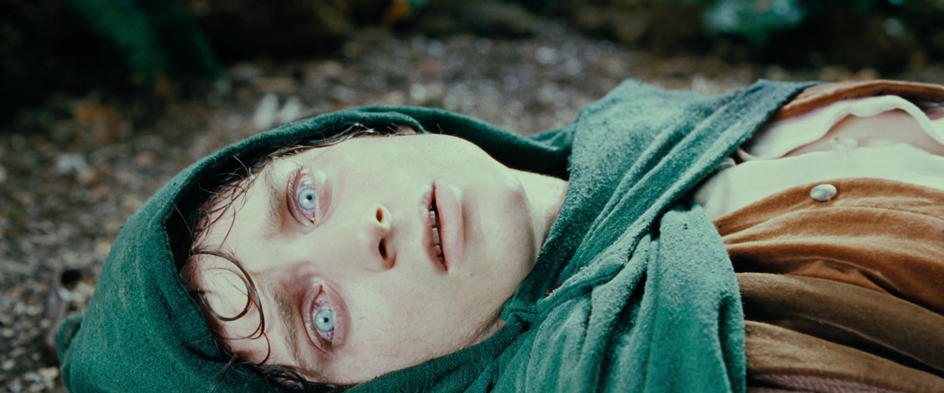 The Lord of the Rings: The Fellowship of the Ring (2001) movie still 9202