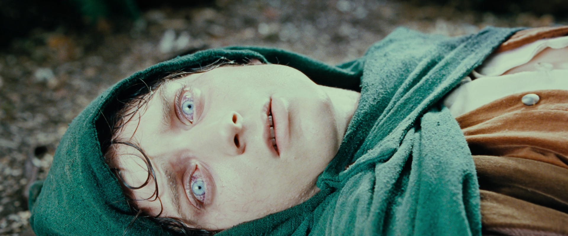 The Lord of the Rings: The Fellowship of the Ring (2001) screencap 9204
