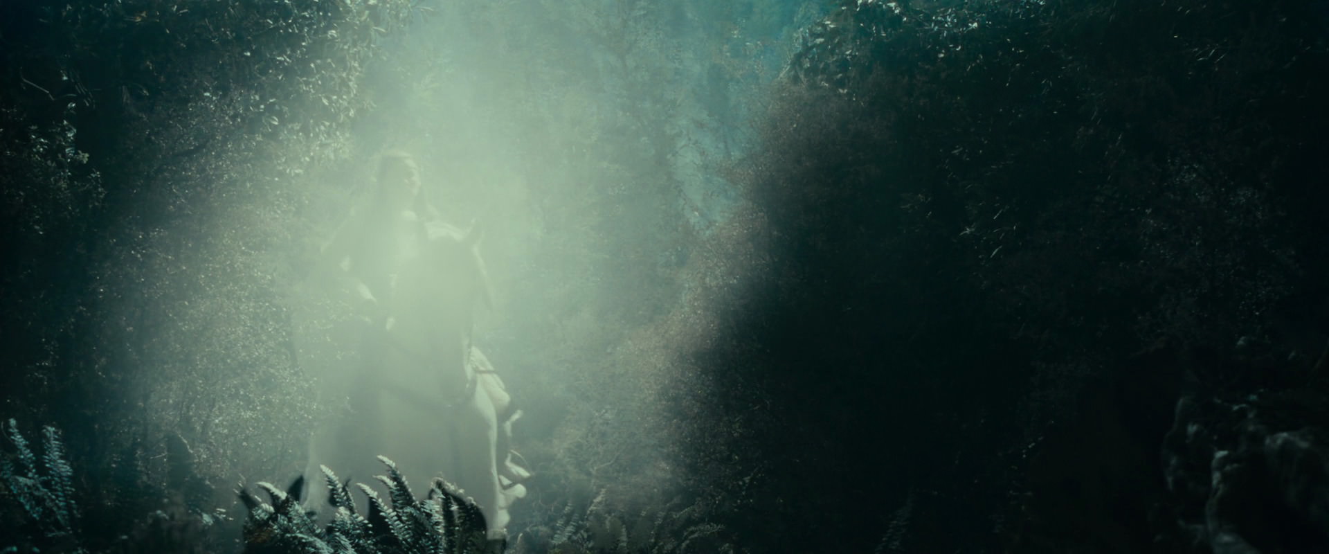 The Lord of the Rings: The Fellowship of the Ring (2001) HD screenshot 9206
