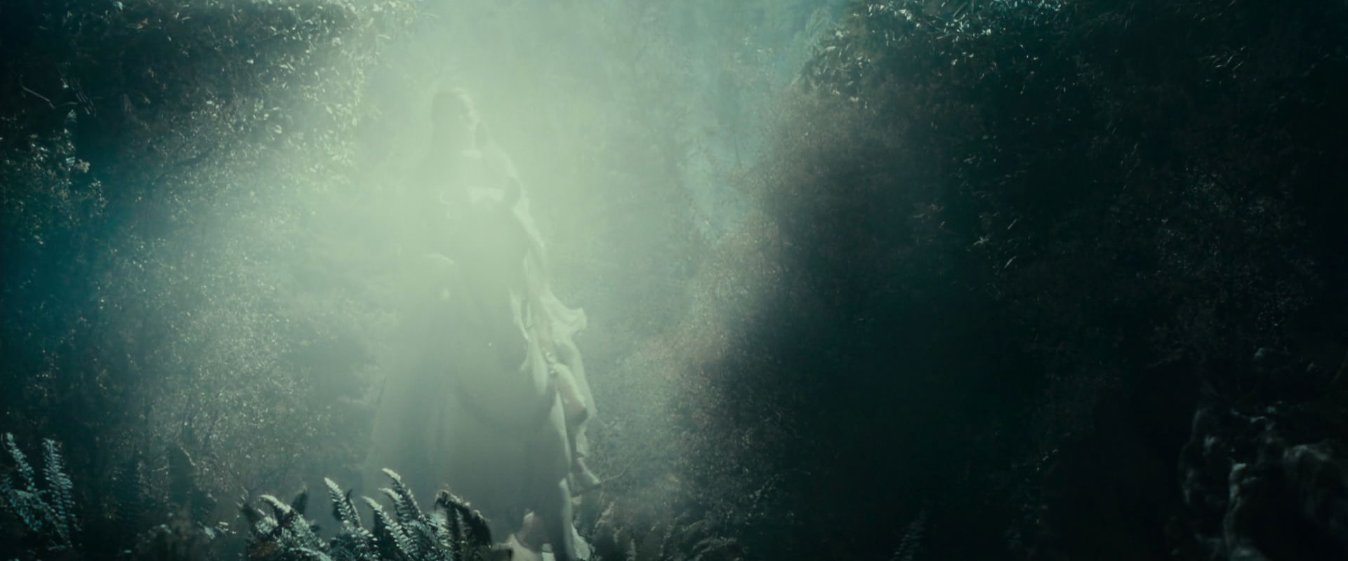 The Lord of the Rings: The Fellowship of the Ring (2001) screencap 9207