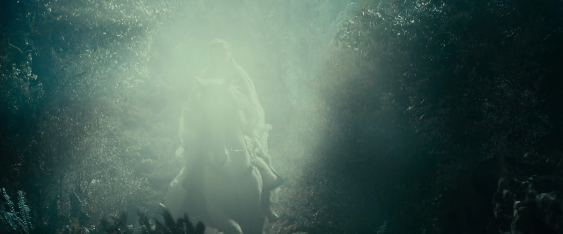 The Lord of the Rings: The Fellowship of the Ring (2001) movie still 9208