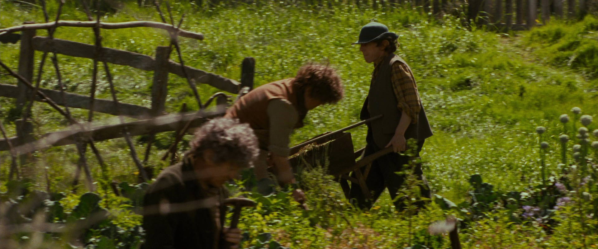 The Lord of the Rings: The Fellowship of the Ring (2001) screencap 921