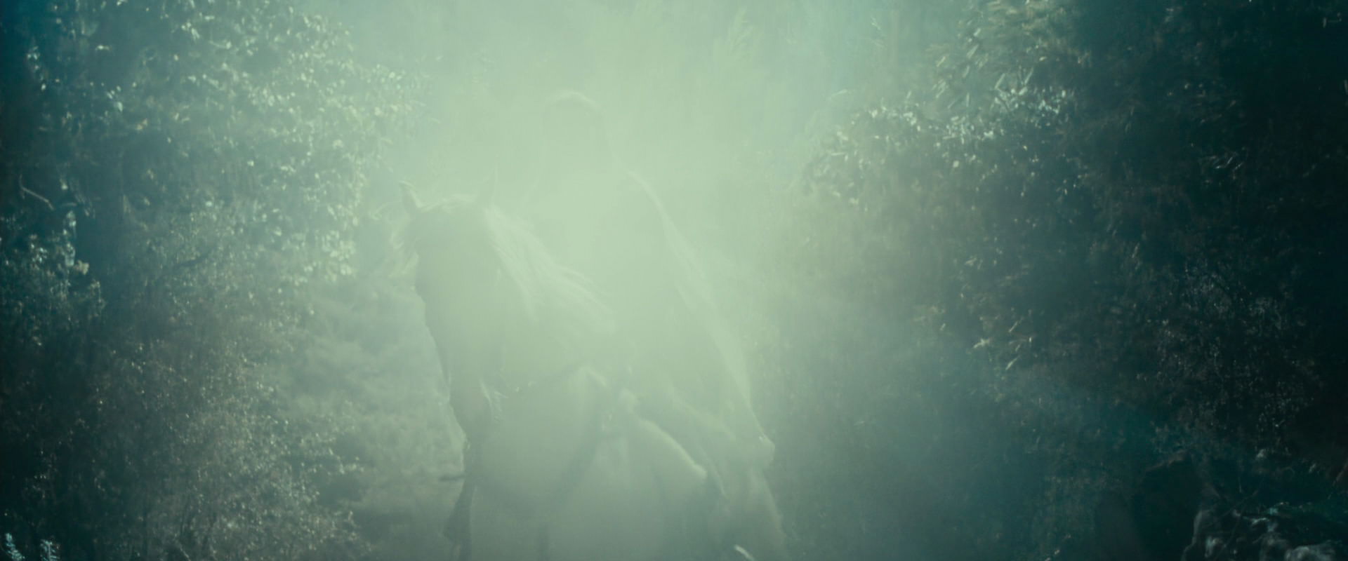 The Lord of the Rings: The Fellowship of the Ring (2001) screencap 9210