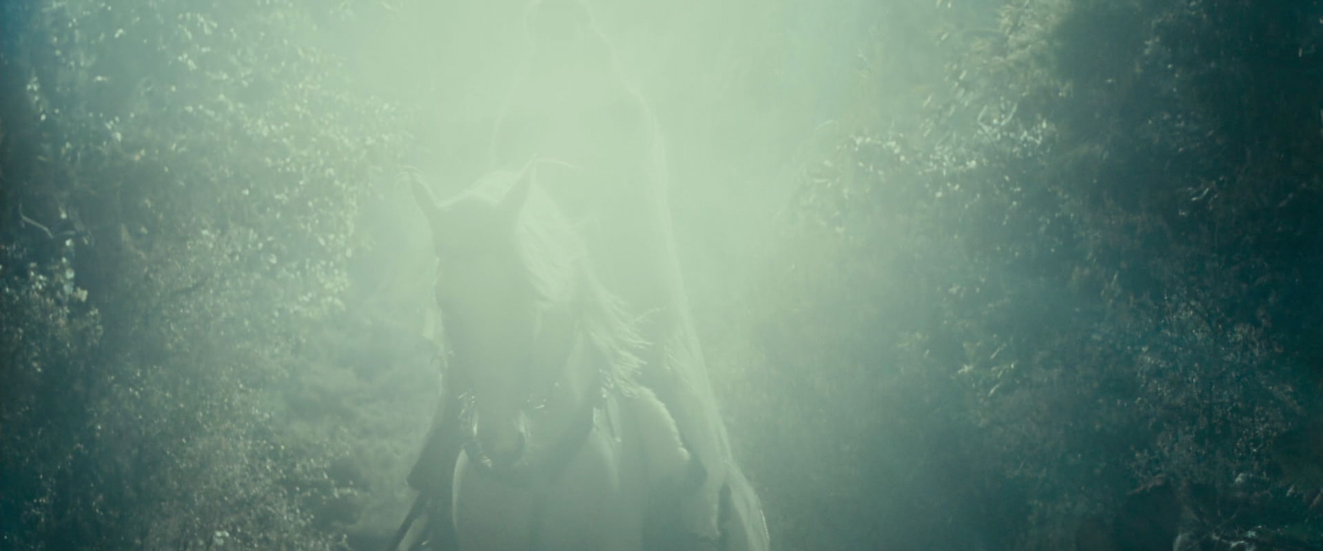 The Lord of the Rings: The Fellowship of the Ring (2001) movie still 9211
