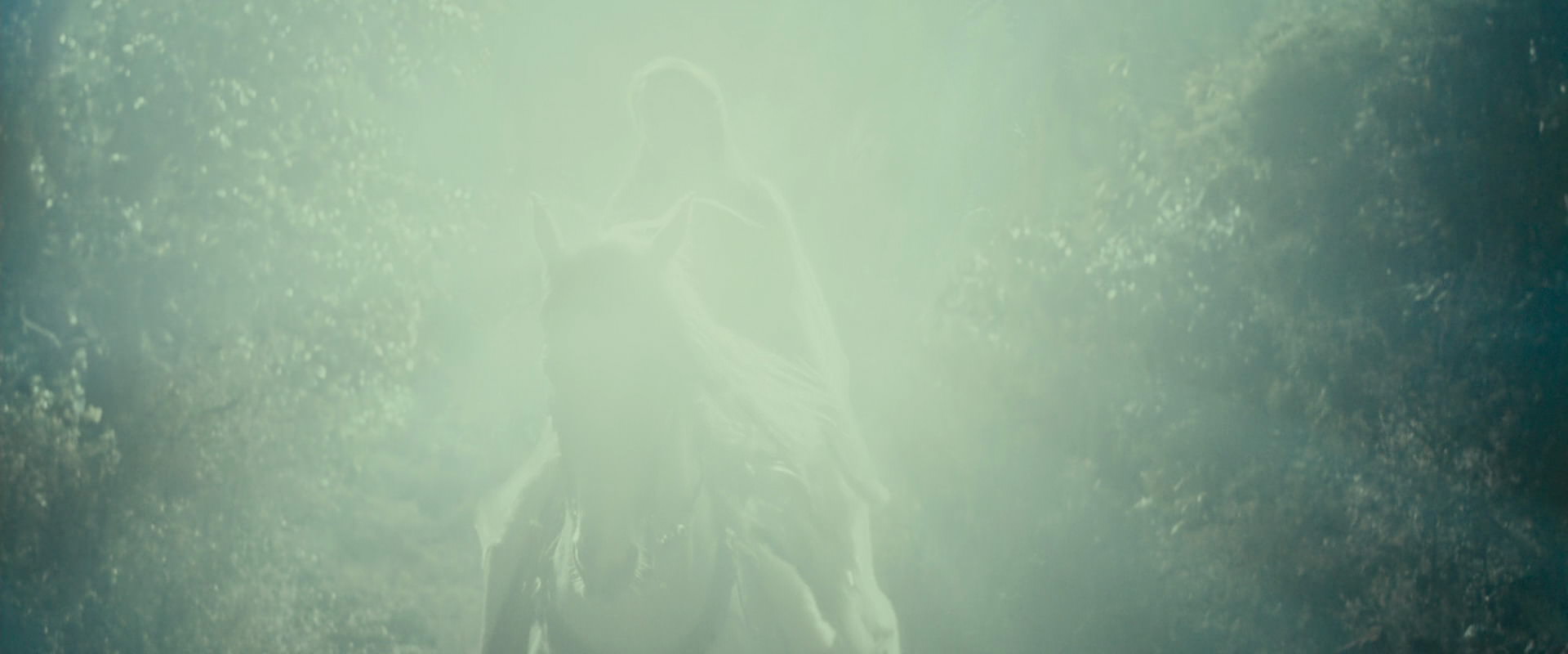 The Lord of the Rings: The Fellowship of the Ring (2001) HD screenshot 9212
