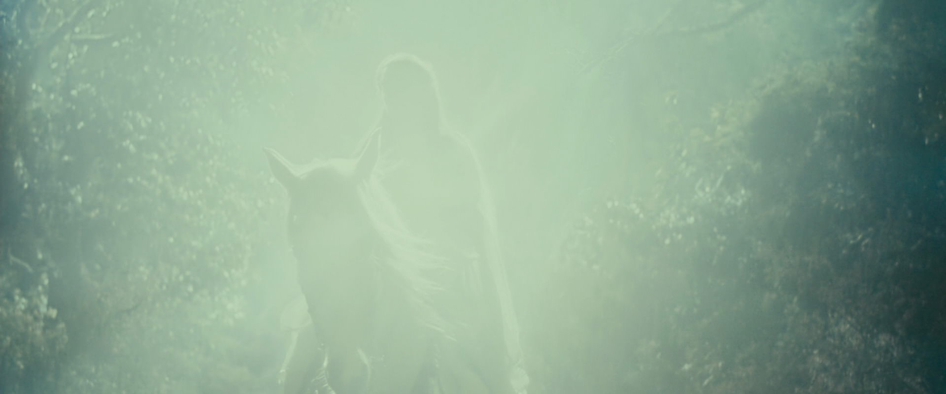 The Lord of the Rings: The Fellowship of the Ring (2001) screencap 9213