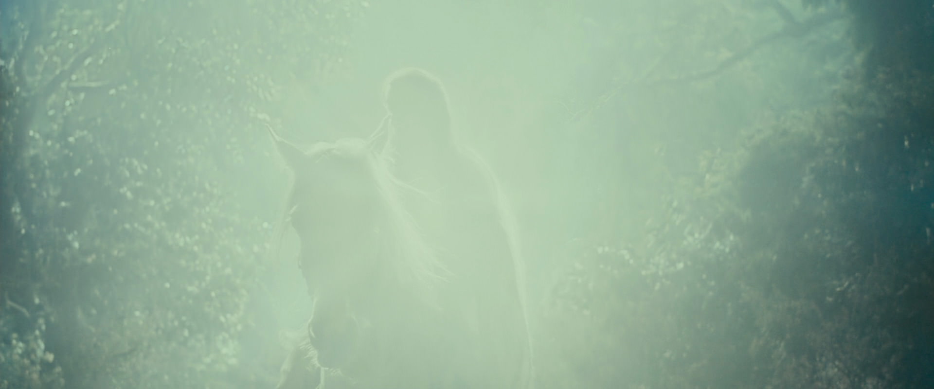 The Lord of the Rings: The Fellowship of the Ring (2001) movie still 9214