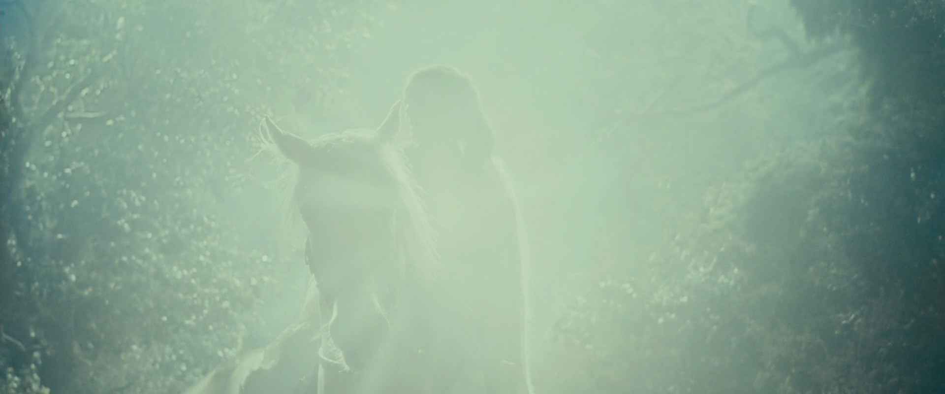 The Lord of the Rings: The Fellowship of the Ring (2001) HD screenshot 9215