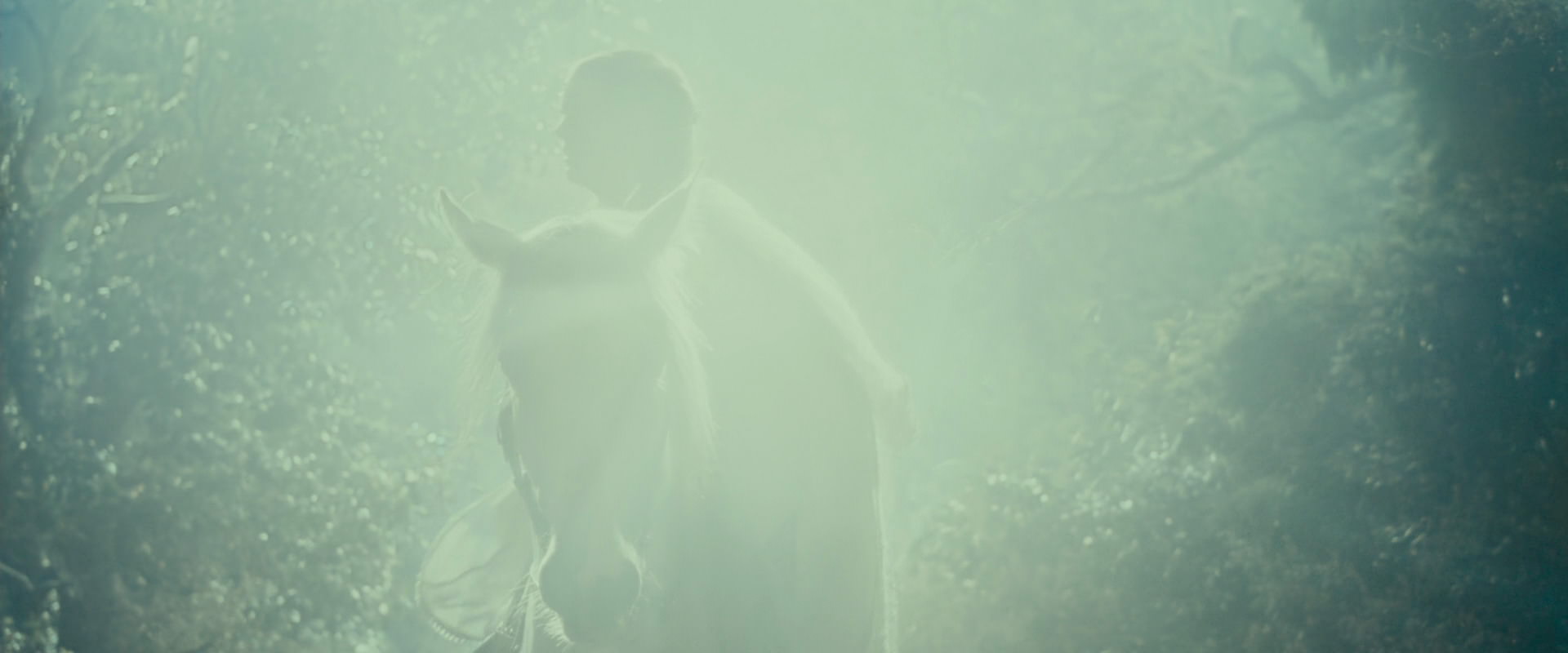 The Lord of the Rings: The Fellowship of the Ring (2001) screencap 9216