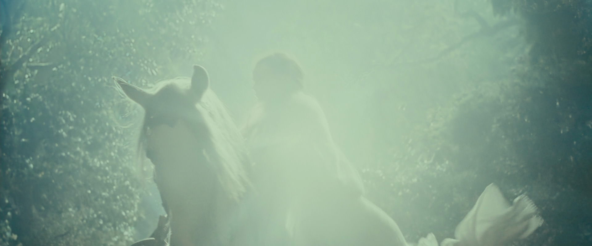 The Lord of the Rings: The Fellowship of the Ring (2001) HD screenshot 9218