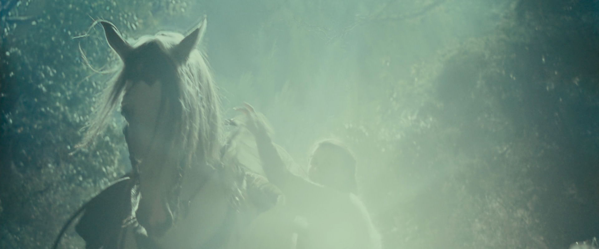 The Lord of the Rings: The Fellowship of the Ring (2001) screencap 9219
