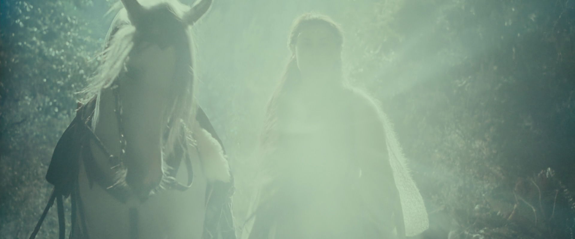 The Lord of the Rings: The Fellowship of the Ring (2001) HD screenshot 9221