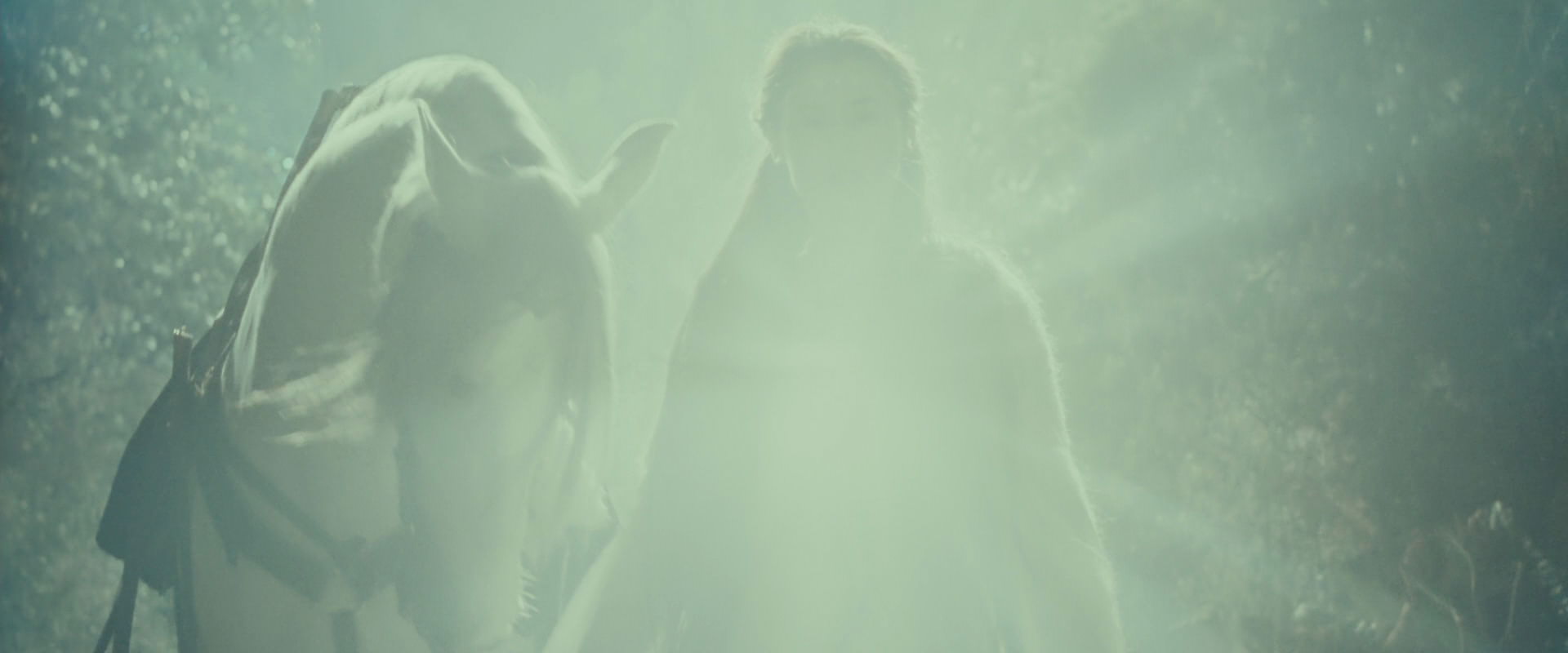 The Lord of the Rings: The Fellowship of the Ring (2001) screencap 9222