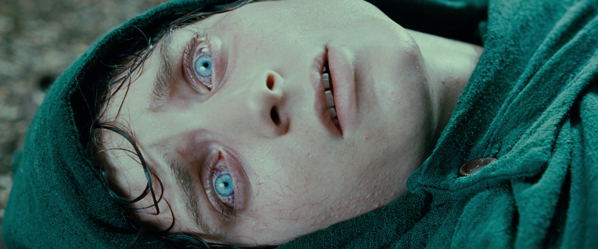The Lord of the Rings: The Fellowship of the Ring (2001) screencap 9246