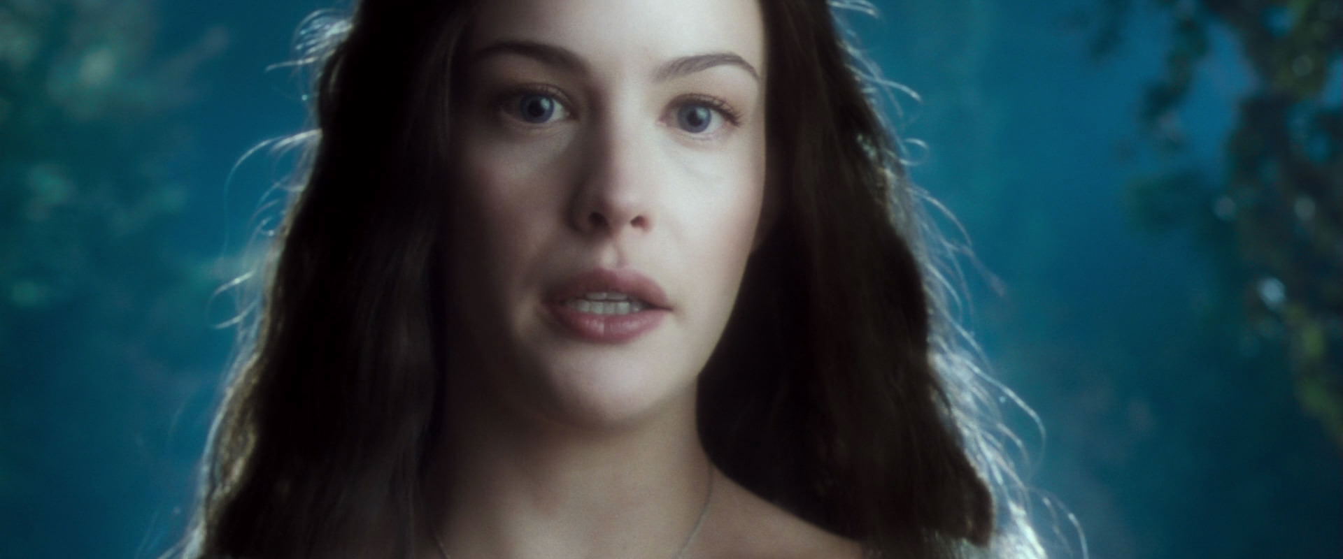 The Lord of the Rings: The Fellowship of the Ring (2001) screencap 9255