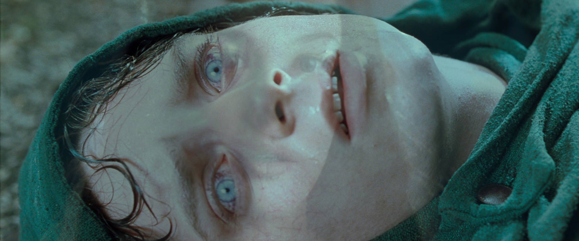 The Lord of the Rings: The Fellowship of the Ring (2001) screencap 9258