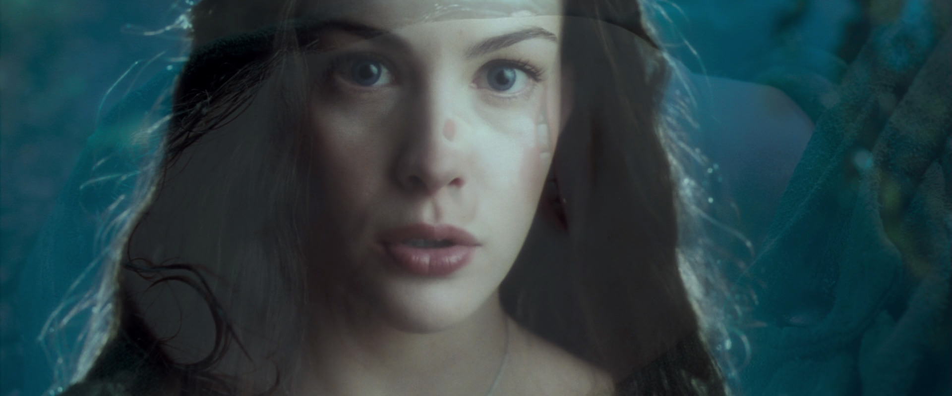 The Lord of the Rings: The Fellowship of the Ring (2001) screencap 9264