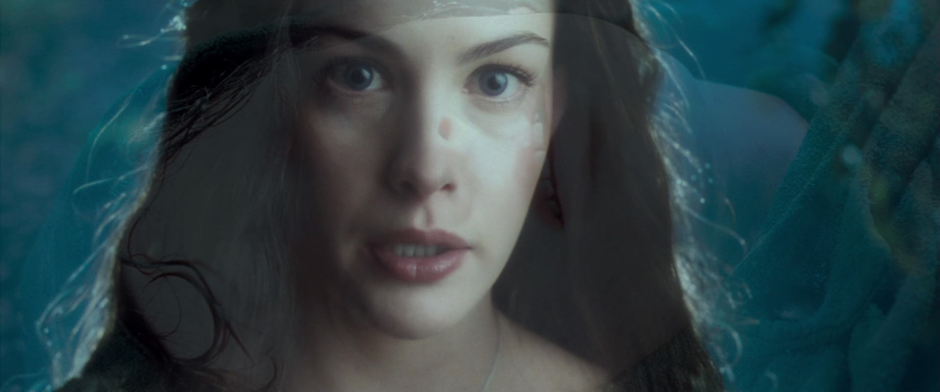The Lord of the Rings: The Fellowship of the Ring (2001) screencap 9267