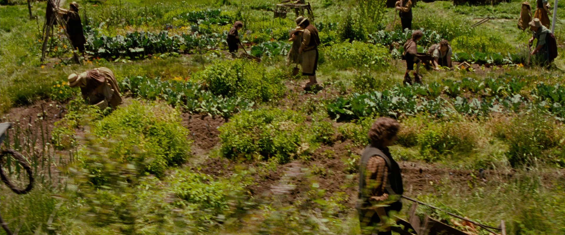 The Lord of the Rings: The Fellowship of the Ring (2001) screencap 927