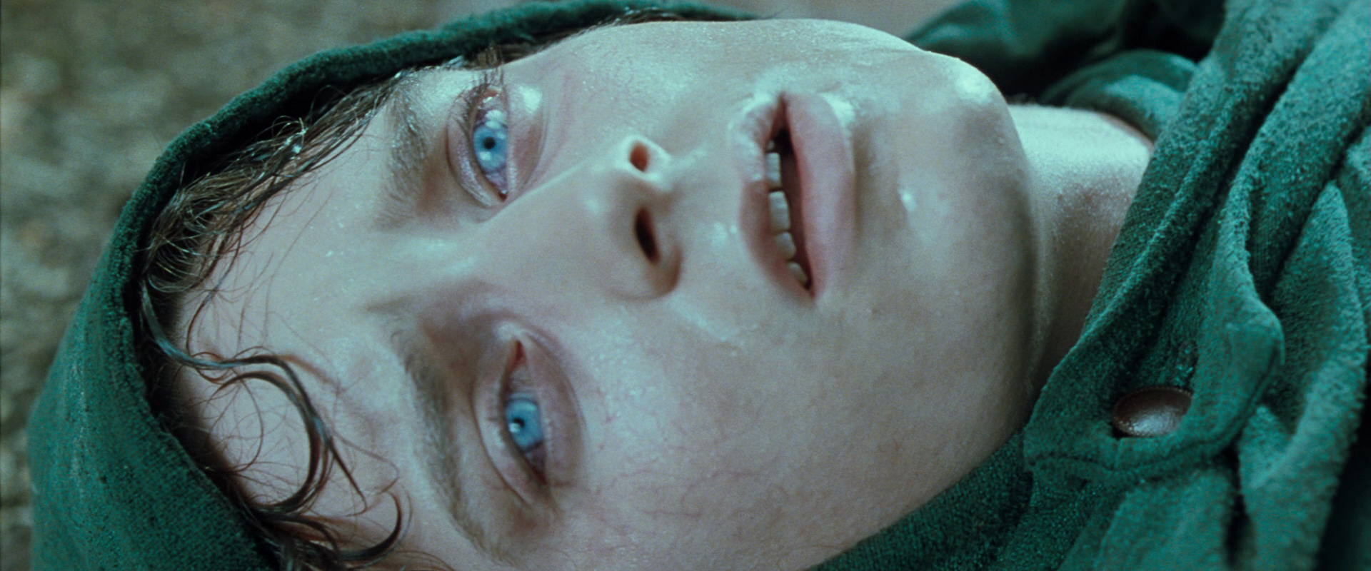 The Lord of the Rings: The Fellowship of the Ring (2001) HD screenshot 9272