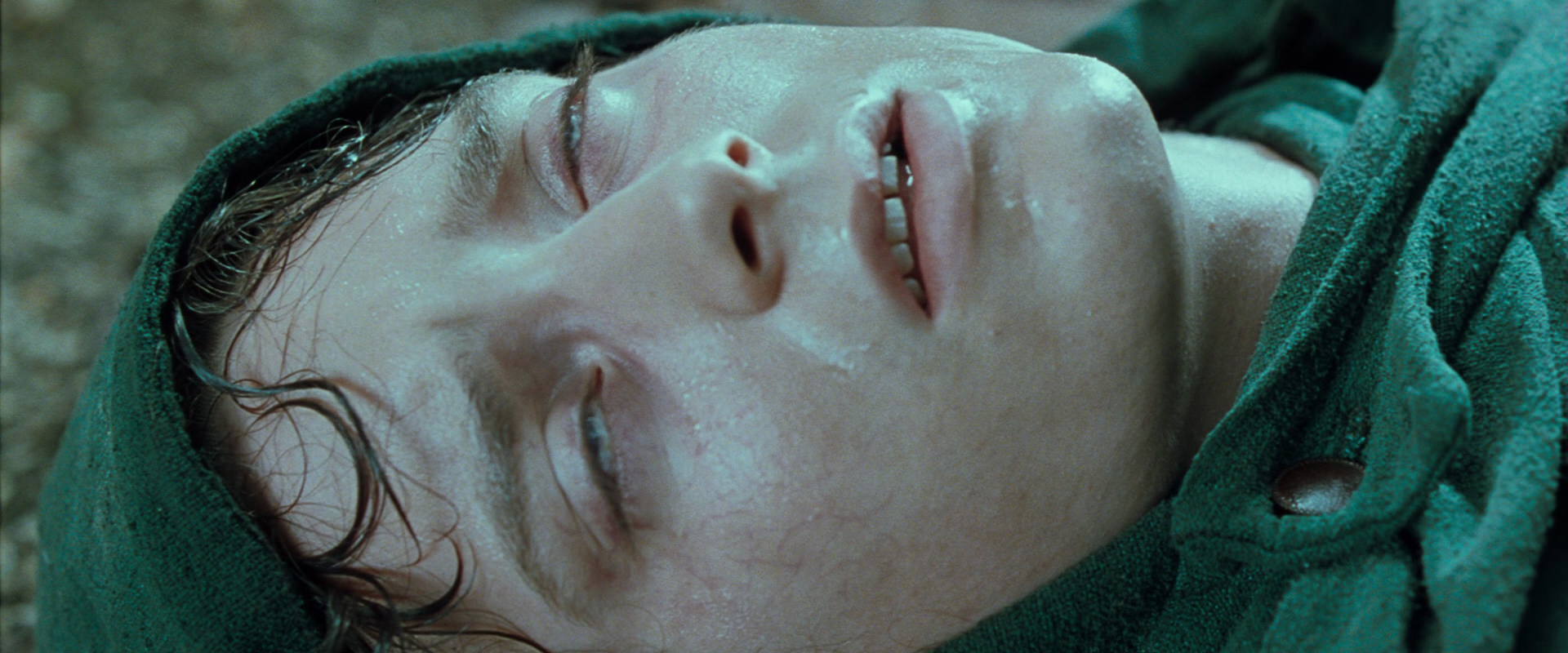 The Lord of the Rings: The Fellowship of the Ring (2001) screencap 9273