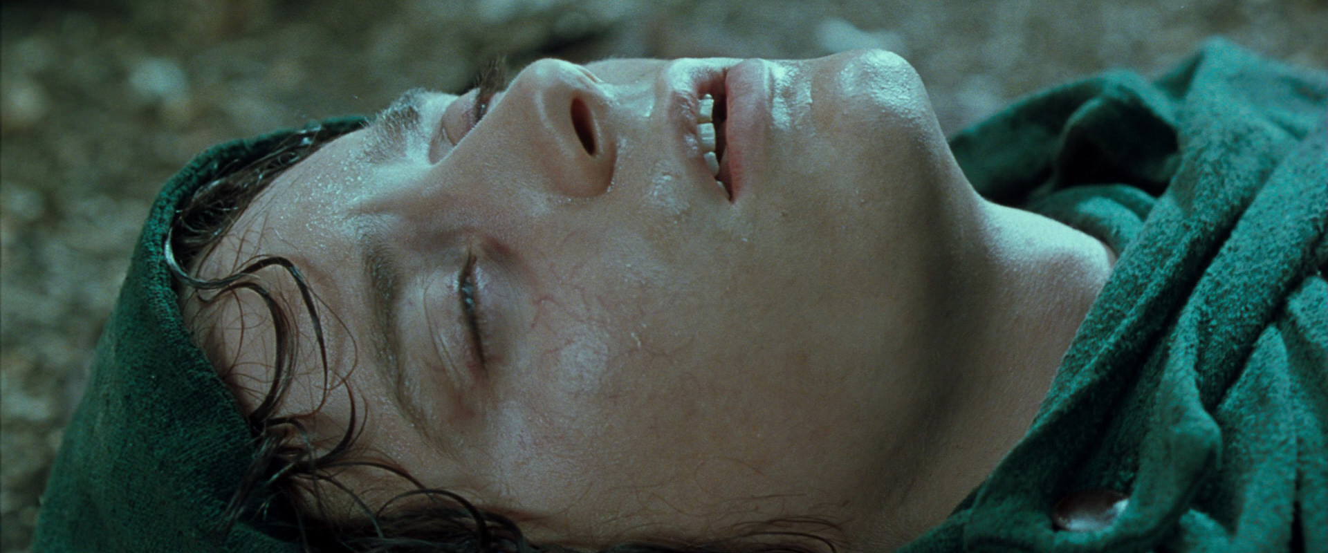 The Lord of the Rings: The Fellowship of the Ring (2001) screencap 9276