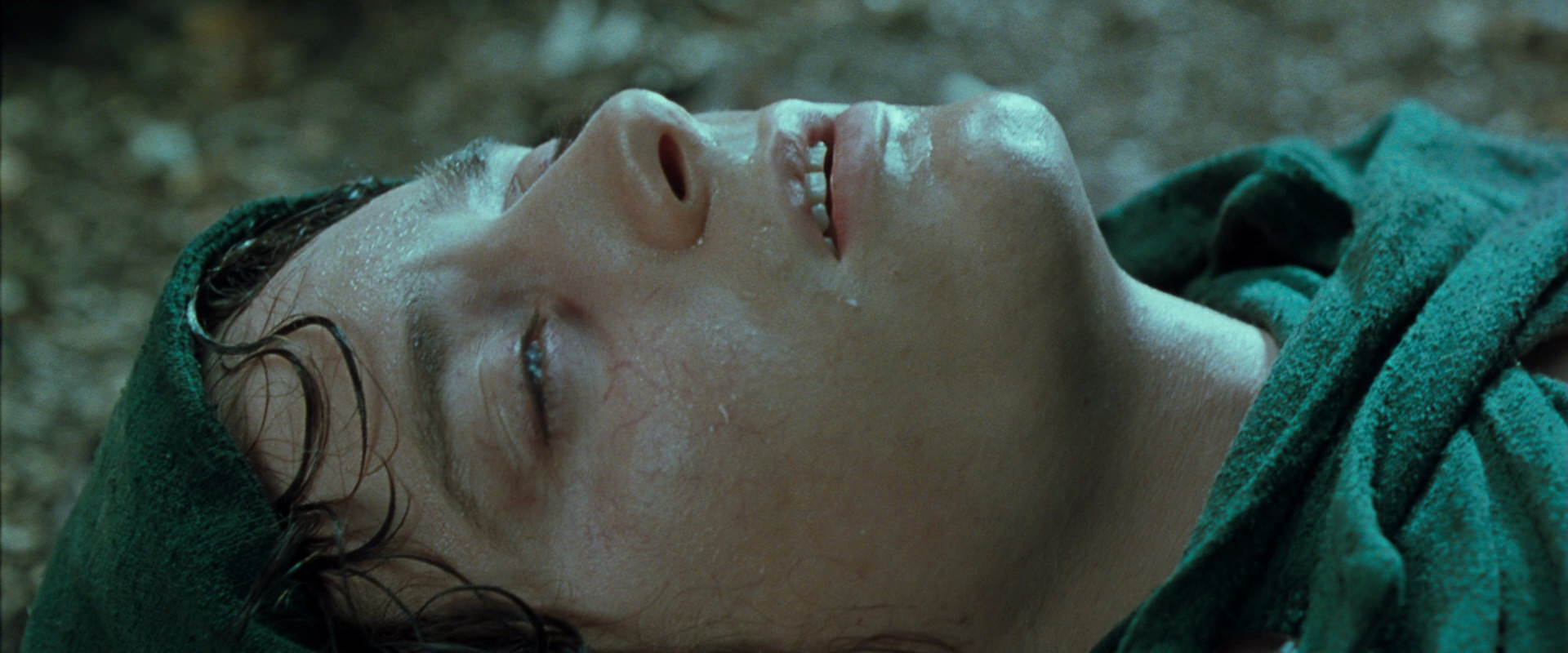 The Lord of the Rings: The Fellowship of the Ring (2001) movie still 9277