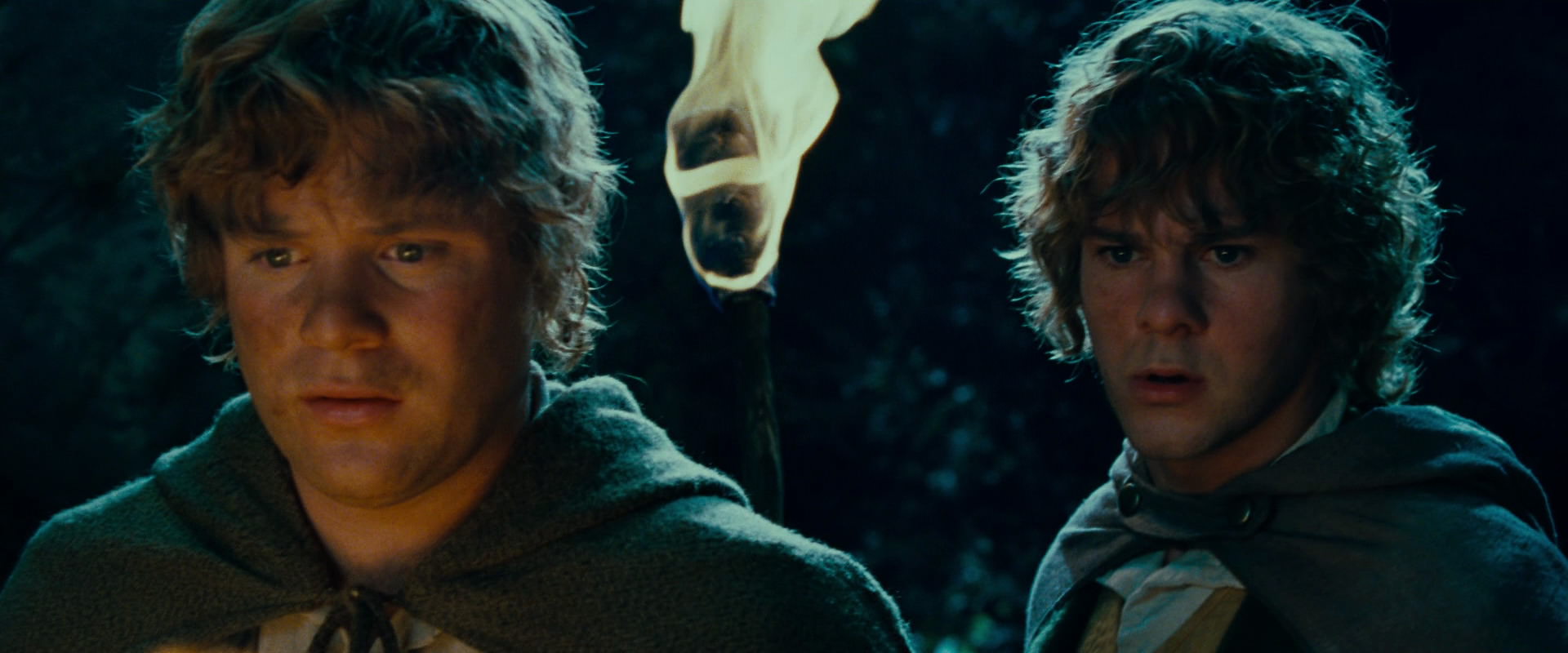 The Lord of the Rings: The Fellowship of the Ring (2001) HD screenshot 9278