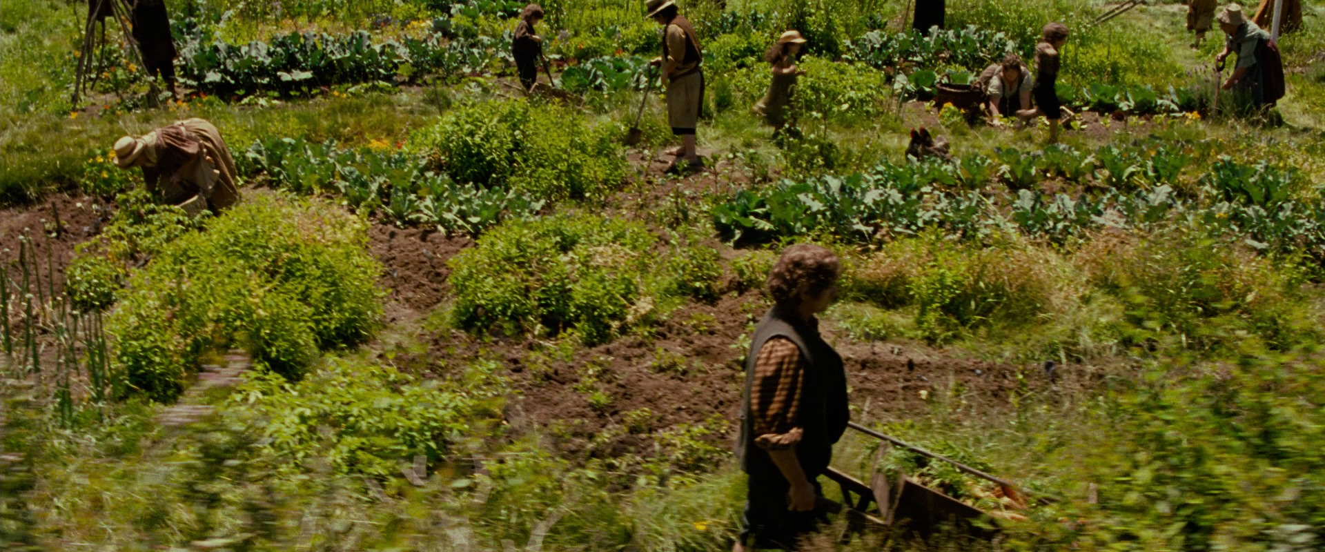 The Lord of the Rings: The Fellowship of the Ring (2001) movie still 928