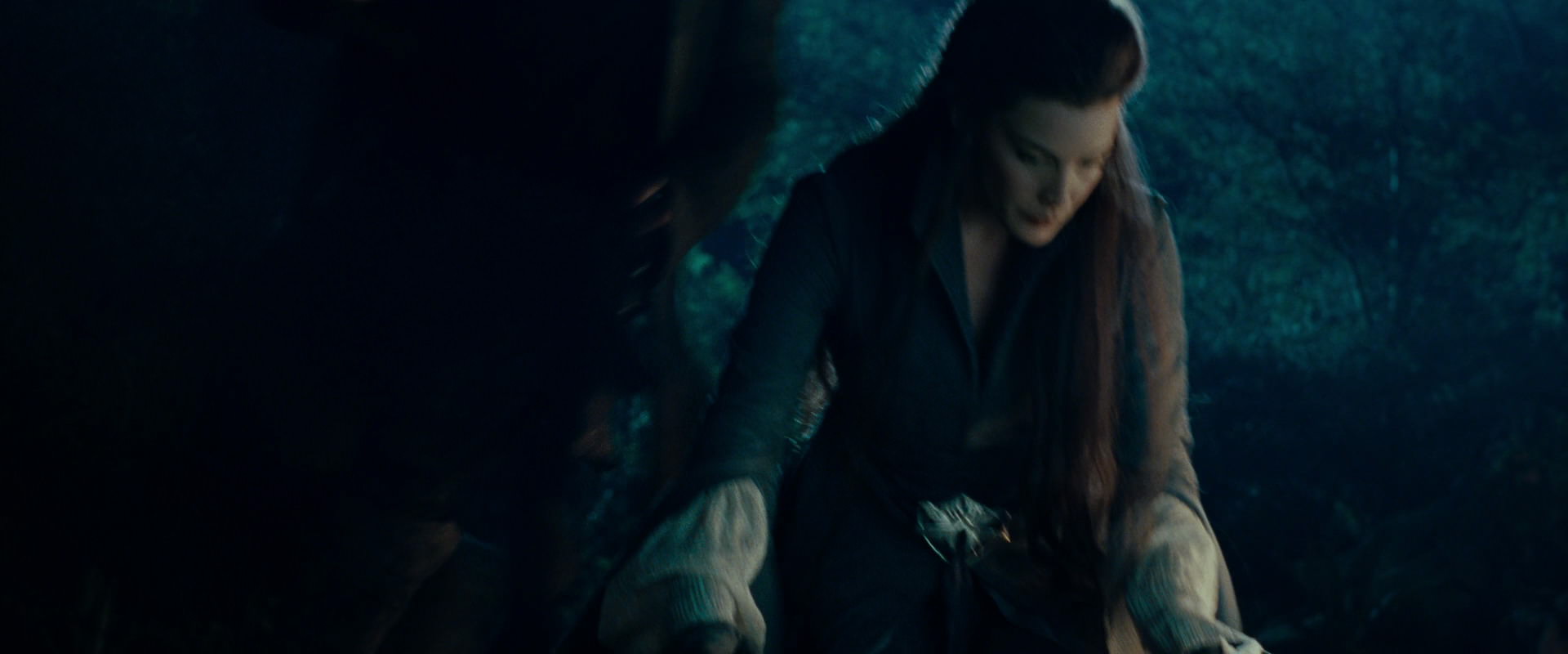 The Lord of the Rings: The Fellowship of the Ring (2001) HD screenshot 9281