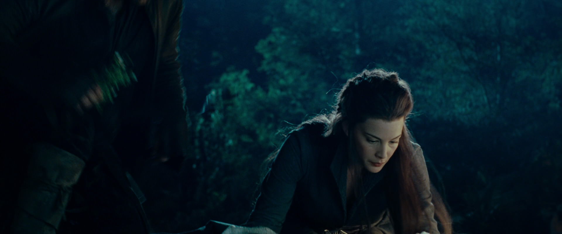 The Lord of the Rings: The Fellowship of the Ring (2001) screencap 9282